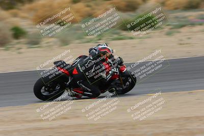 media/Jan-14-2023-SoCal Trackdays (Sat) [[497694156f]]/Turn 9 Set 2 (1130am)/